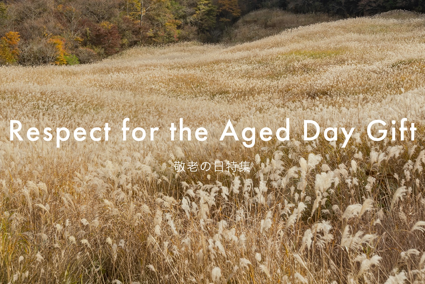 Respect for the Aged Day Gift